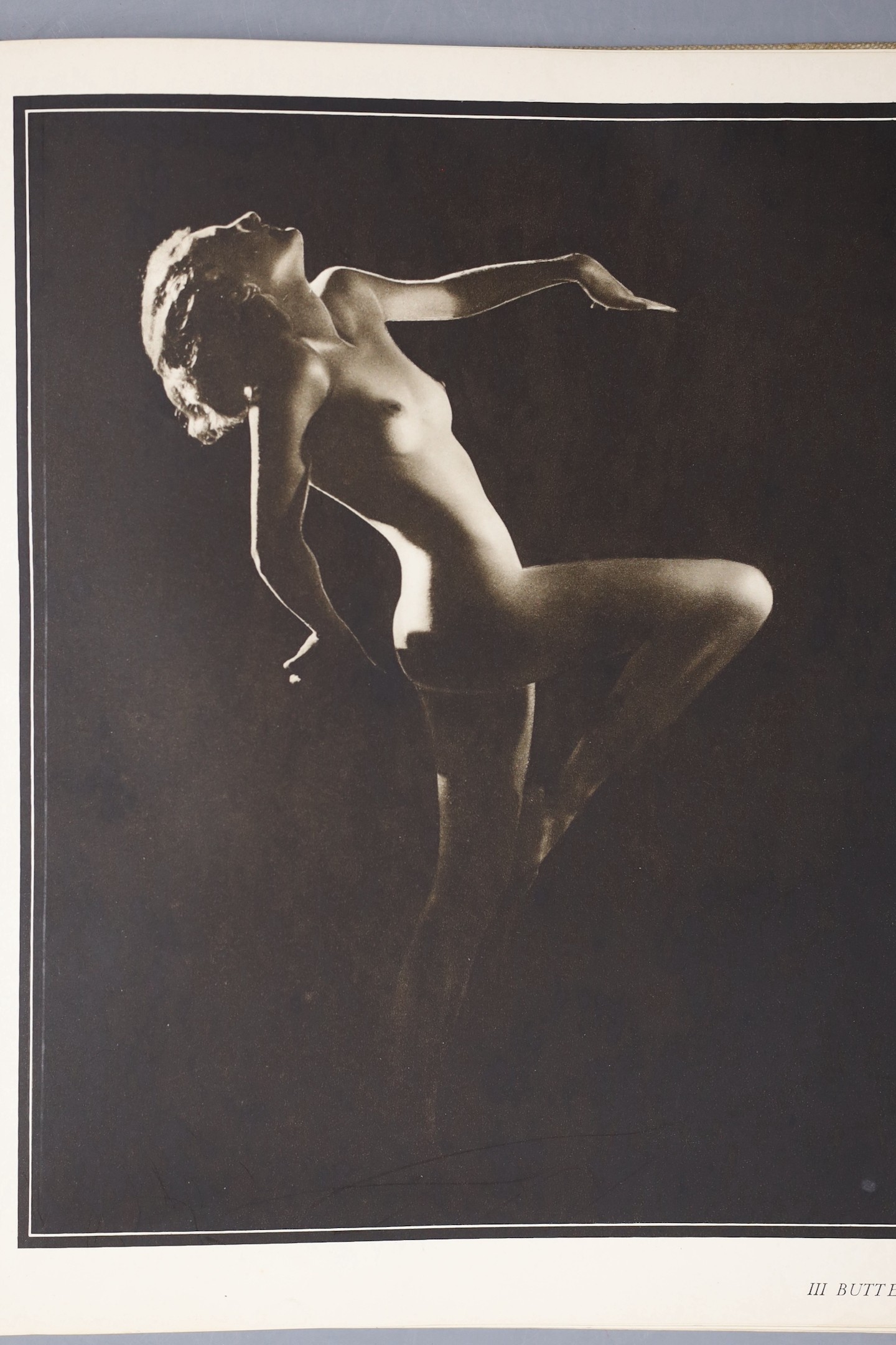 Walter Bird, Beauty's daughters, first edition, 1938